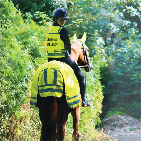 Woof Wear Hi Vis Exercise Sheet WS0032-VZYE-L - Hi Viz Yellow